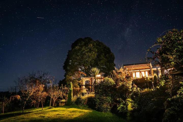 Starry Nights Cabin Fever Waikino Eksteriør billede